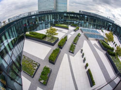 Paving stones continue the linear shape